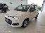 FIAT Panda 1.2 EasyPower Easy