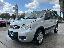 FIAT Panda 1.2 Climbing Natural Power