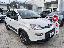 FIAT Panda 1.2 EasyPower City Life