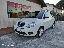 LANCIA Ypsilon 1.2 Argento