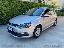 VOLKSWAGEN Polo 1.0 MPI 5p. Business Trendline