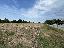 Terreno 25600 mq, zona Torreglia
