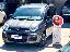 FIAT Panda 1.2 EasyPower Easy