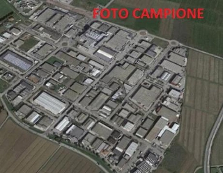 zoom immagine (Terreno 31000 mq, zona Grisignano di Zocco)