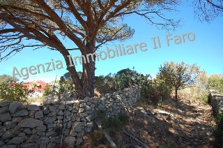 zoom immagine (Terreno 900 mq, zona La Maddalena)